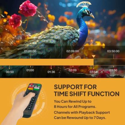 EVPAD 11P Android TV Box — 4GB+64GB, 4K/8K, Global Channels, Lifetime Free