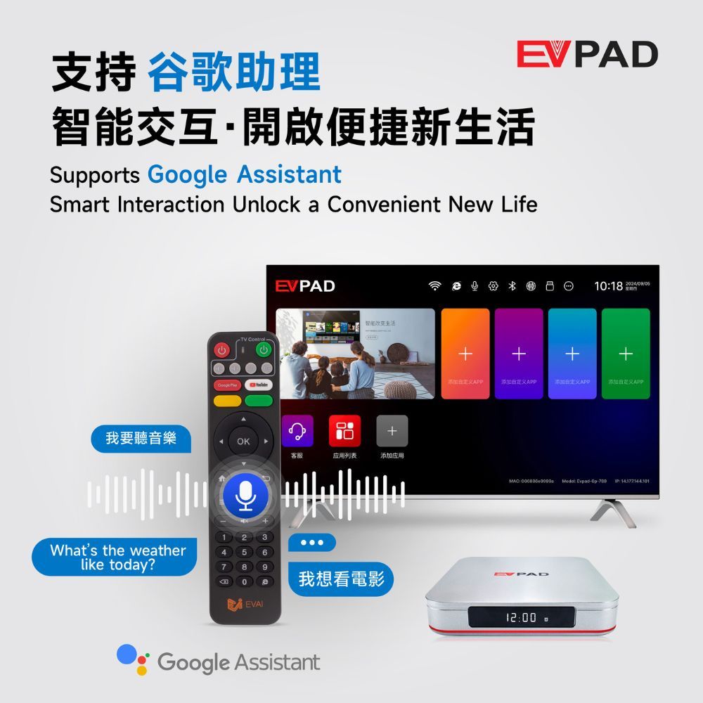 EVPAD 12S TV box Google Assistant support

