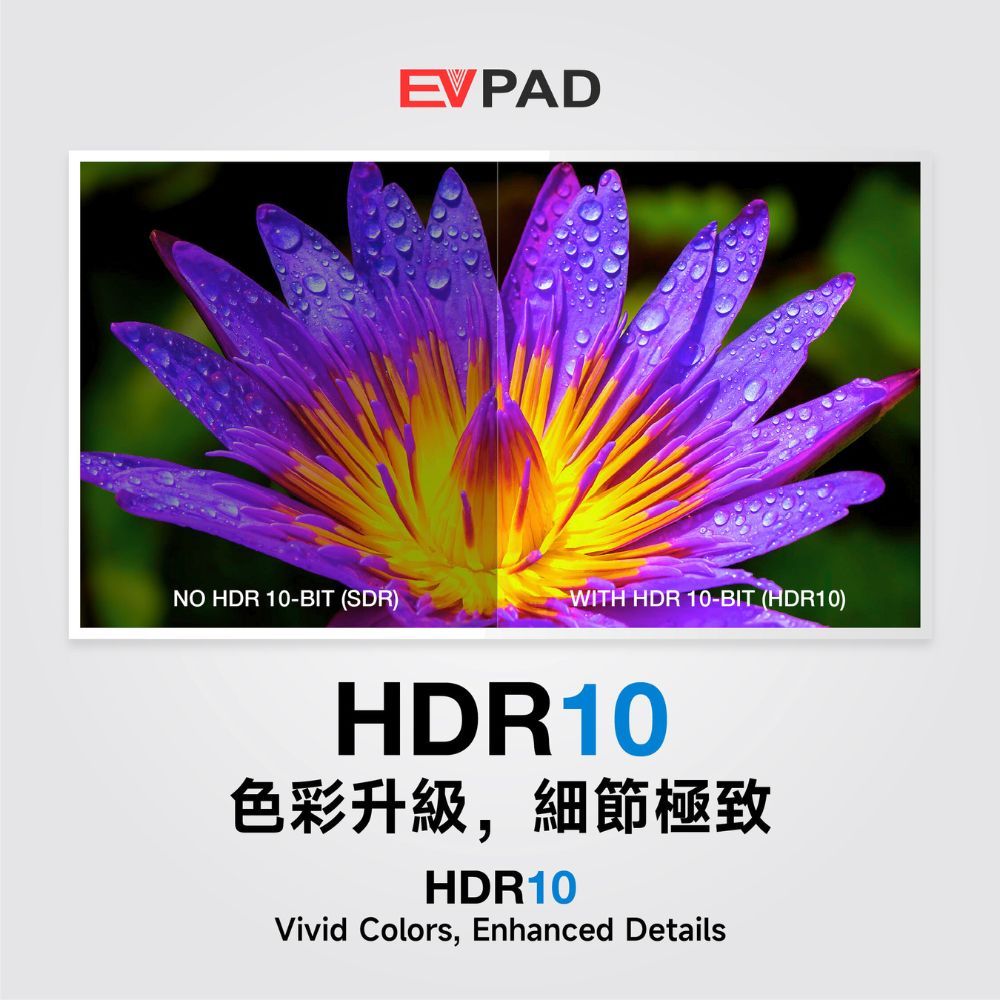 EVPAD 12S TV box HDR10 display support
