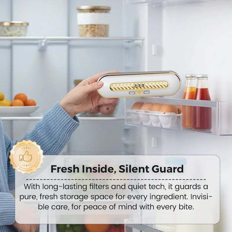 Rechargeable Portable Fridge Sterilizer
