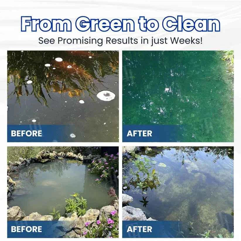 ✨ From Green to Clean Overnight! |⏱️ Crystal Clear in 24 Hours! | Aqua-Guardian Pro Formula
