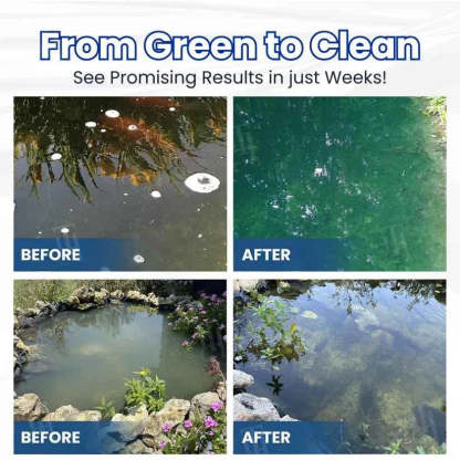 ✨ From Green to Clean Overnight! |⏱️ Crystal Clear in 24 Hours! | Aqua-Guardian Pro Formula
