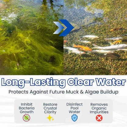 ✨ From Green to Clean Overnight! |⏱️ Crystal Clear in 24 Hours! | Aqua-Guardian Pro Formula