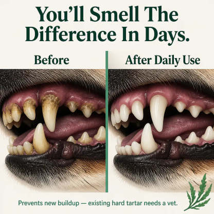 Last Day 50% Off - Pet Dental Dowder