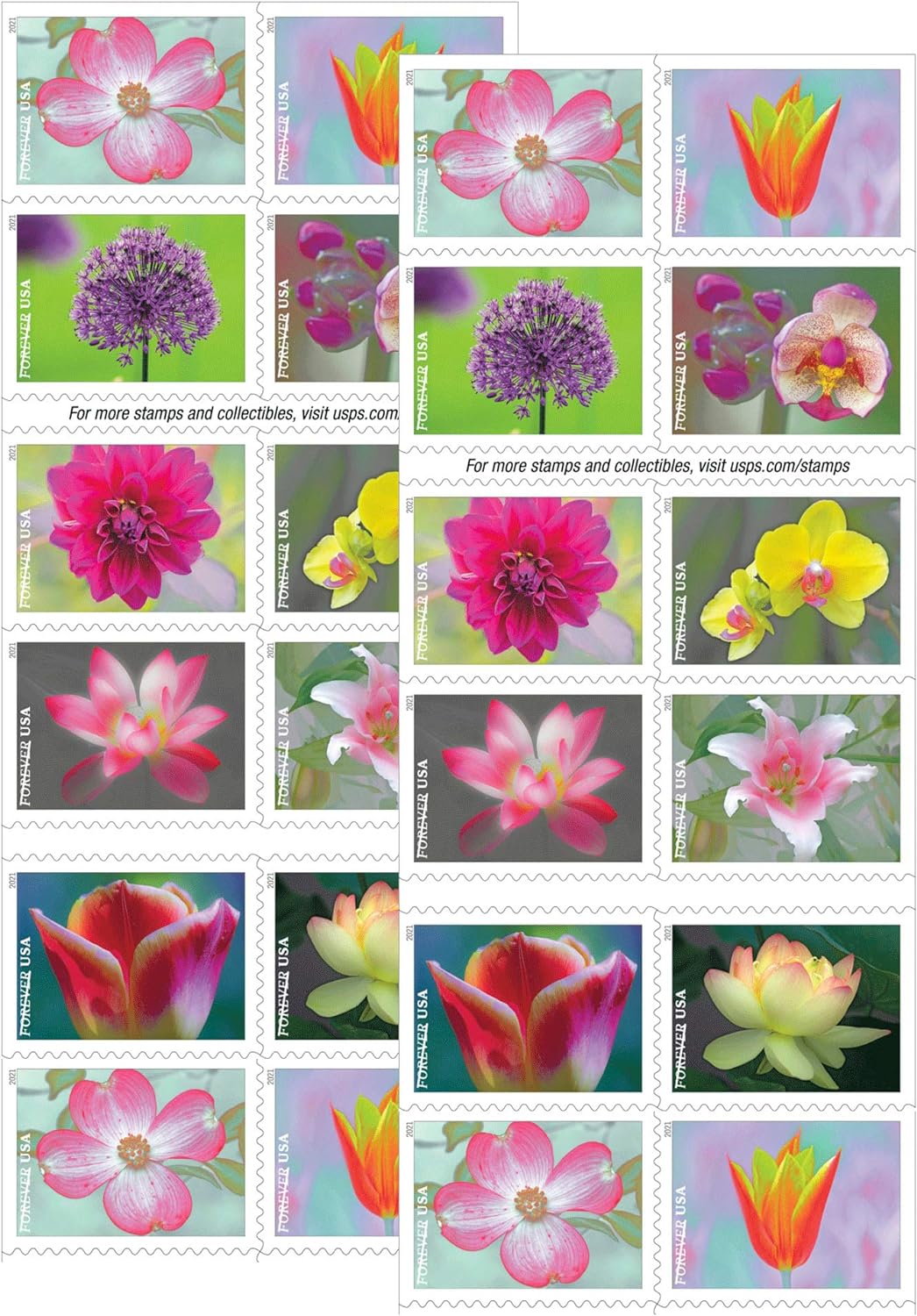 USPS Garden Beauty Forever First Class Postage Stamps image 0