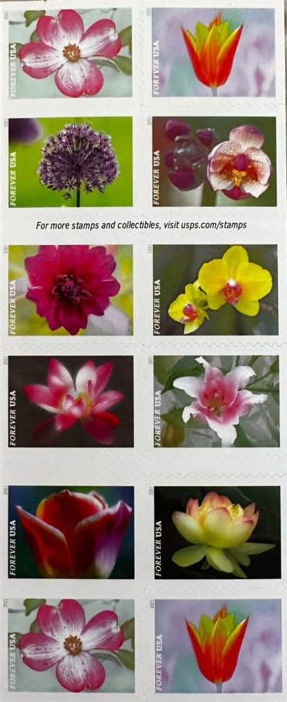 USPS Garden Beauty Forever First Class Postage Stamps image 2