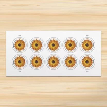 Global African Daisy International First Class Forever US Postage Stamps image 0
