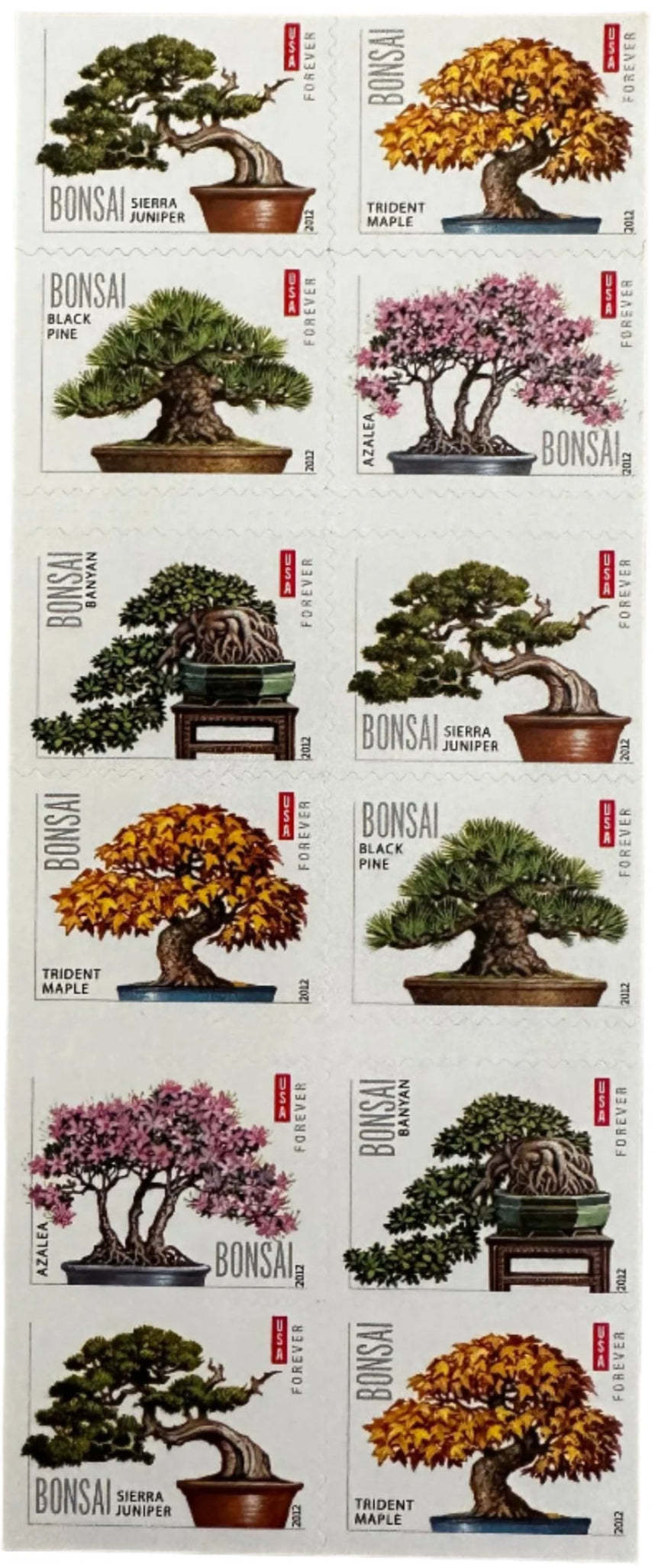 USPS Bonsai Tree Forever First Class Postage Stamps image 2