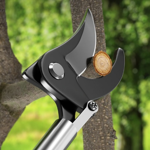 Stainless Steel Telescopic Tree Pruner