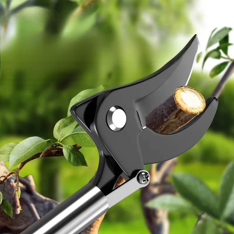 Stainless Steel Telescopic Tree Pruner