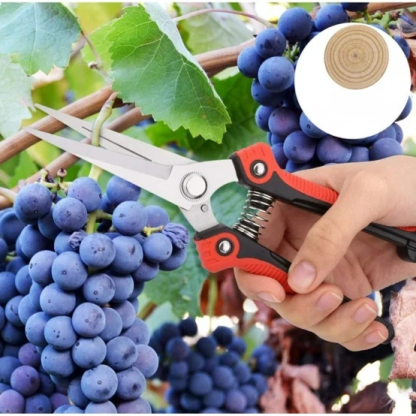 Labor-saving Garden Branch Scissors