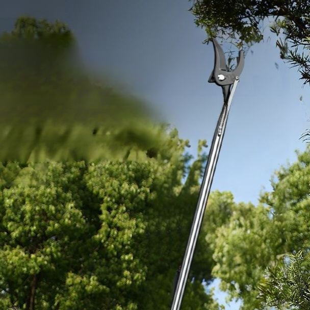 Stainless Steel Telescopic Tree Pruner