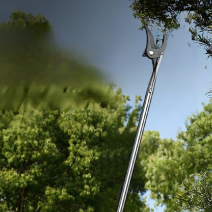 Stainless Steel Telescopic Tree Pruner