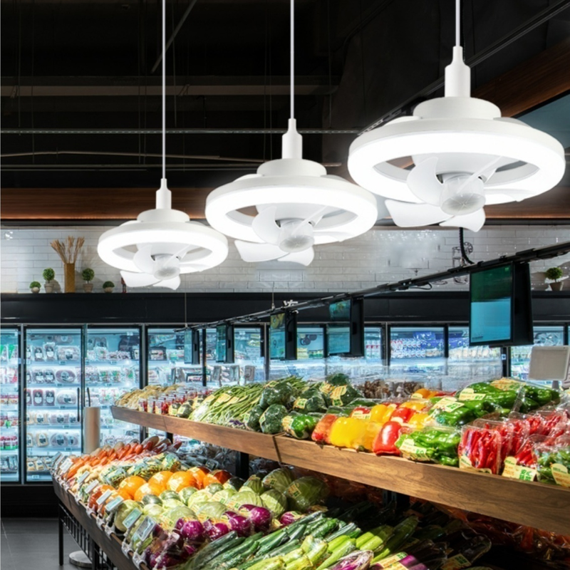 Multifunctional remote control ceiling fan light