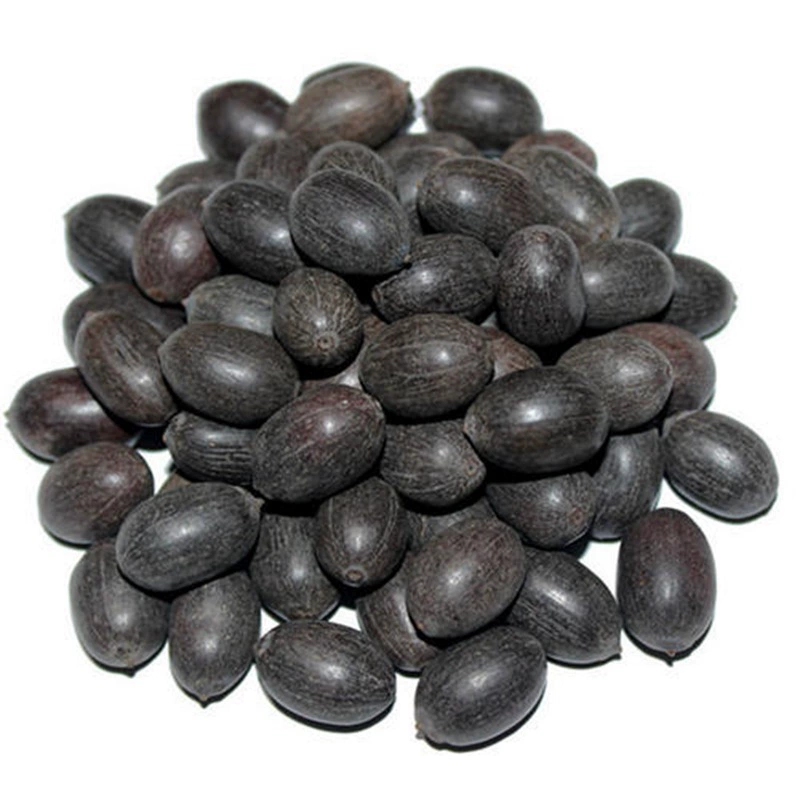 🌺 Лесни за отглеждане семена на водна лилия (лотос), подходящи за засаждане през всички сезони 🌿