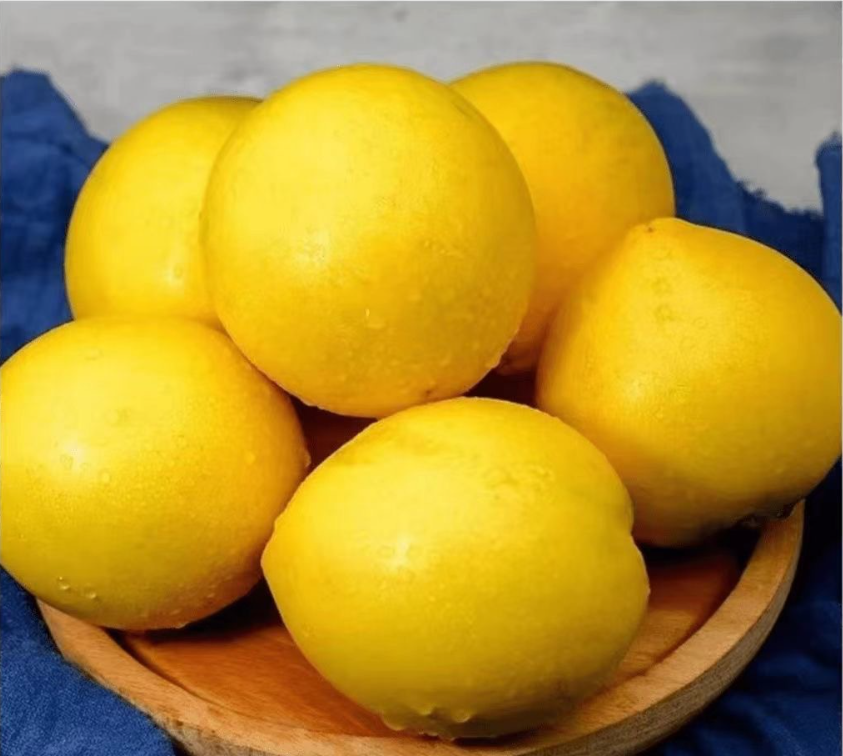 🌟Семена от златен плод – Abiu (Pouteria caimito)🌟