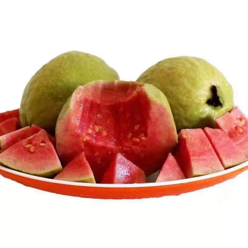 🍈 Семена от червена гуава (червено сърце) 🌿