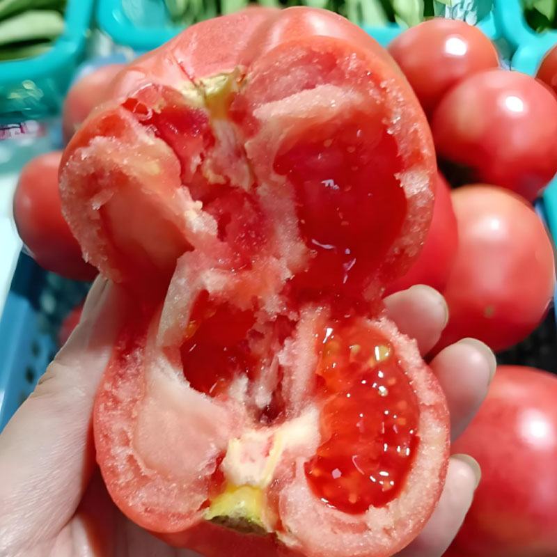 🍅 Örökzöld (heritage) paradicsomok lédús, enyhén szemcsés hússal — a nyár íze, mint régen.🌿