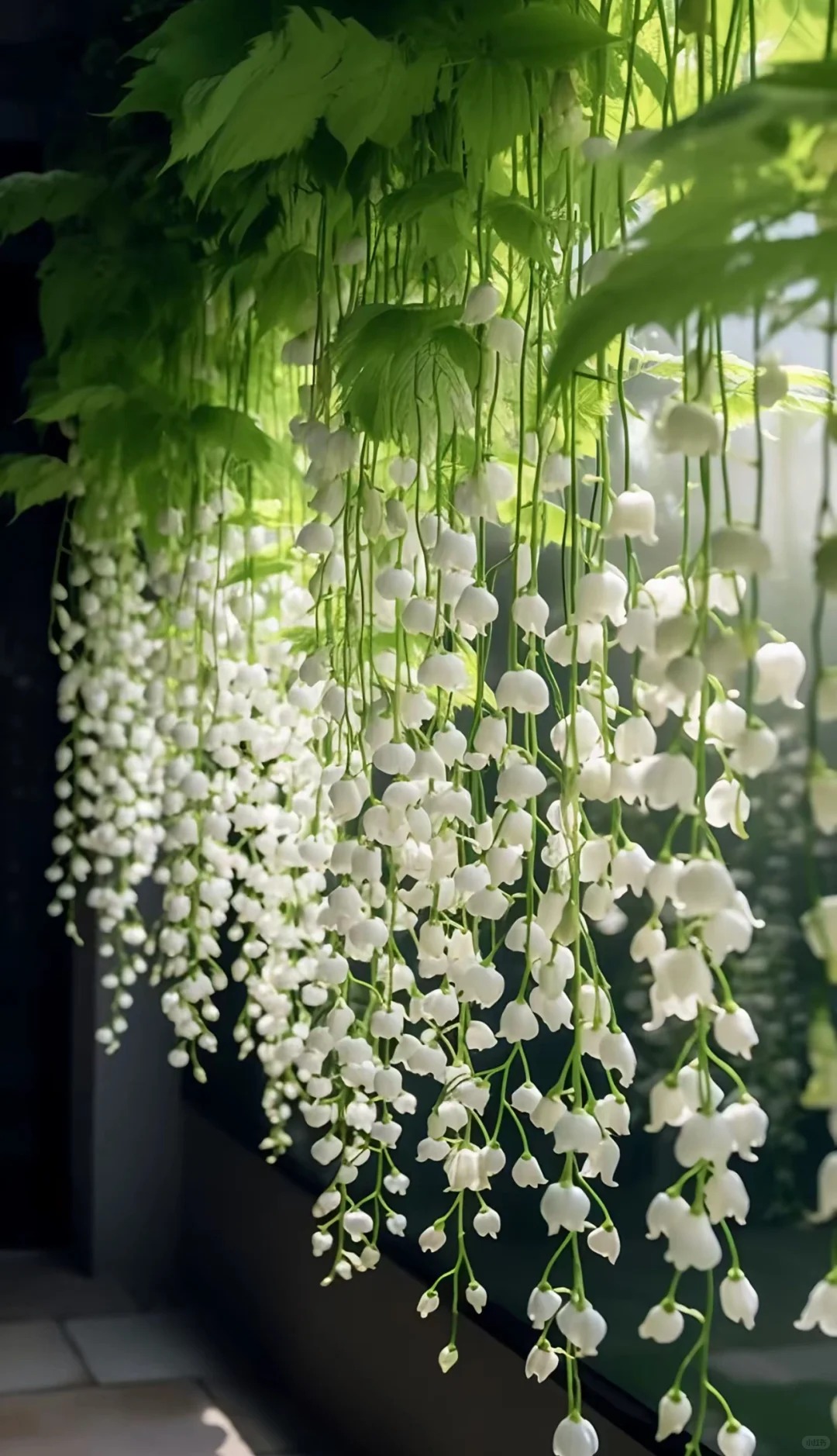 🌱 rastlinné semená