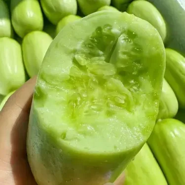 🥒 Mini uhorky „Jade Lady“ – jemné, krémové, veľkosti palca. Ideálne na celoročné pestovanie na balkóne aj v záhrade 🌱