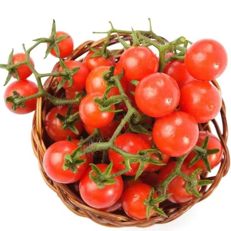 100% Germination rate-Waterfall Tomatoes Seeds-High Yield