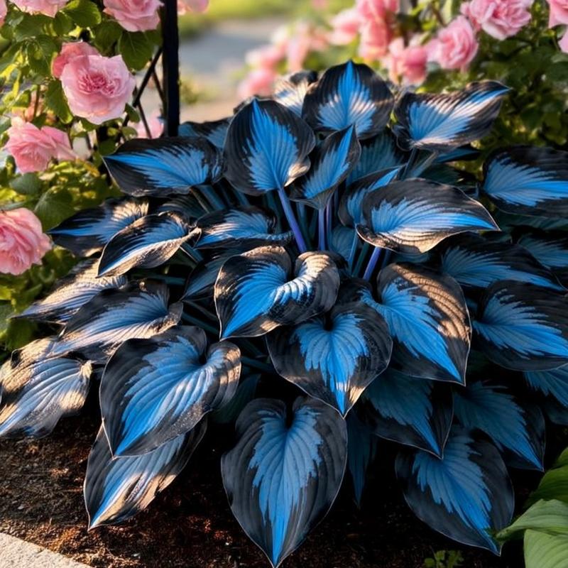 Семена за цветя