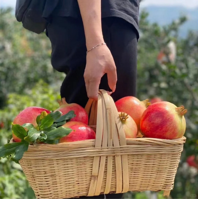 🔥 ПРЕМИУМ: Семена за нар с меки семки (Мек сорт)