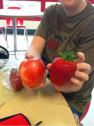 Редки гигантски ягодови семена 🍓 Растят огромни, лесни за отглеждане