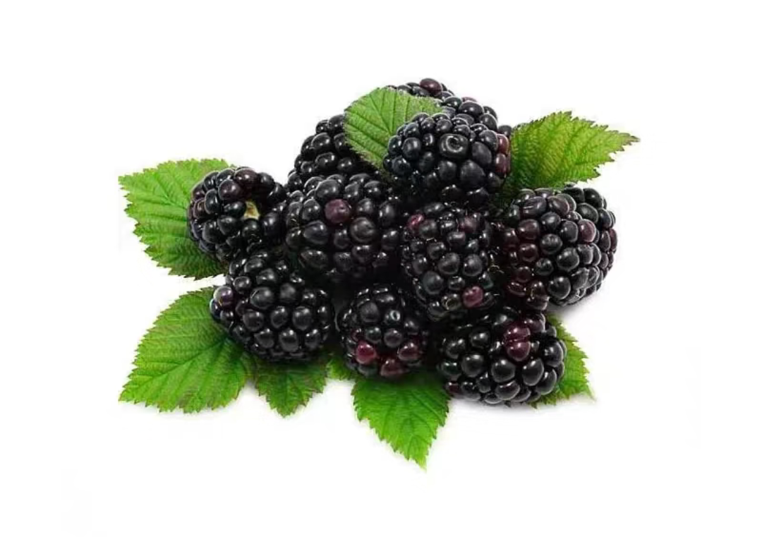 🍓🍓Семена от плод на малина