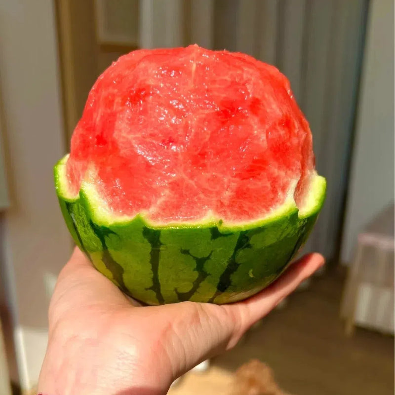 Семена от диня в саксия