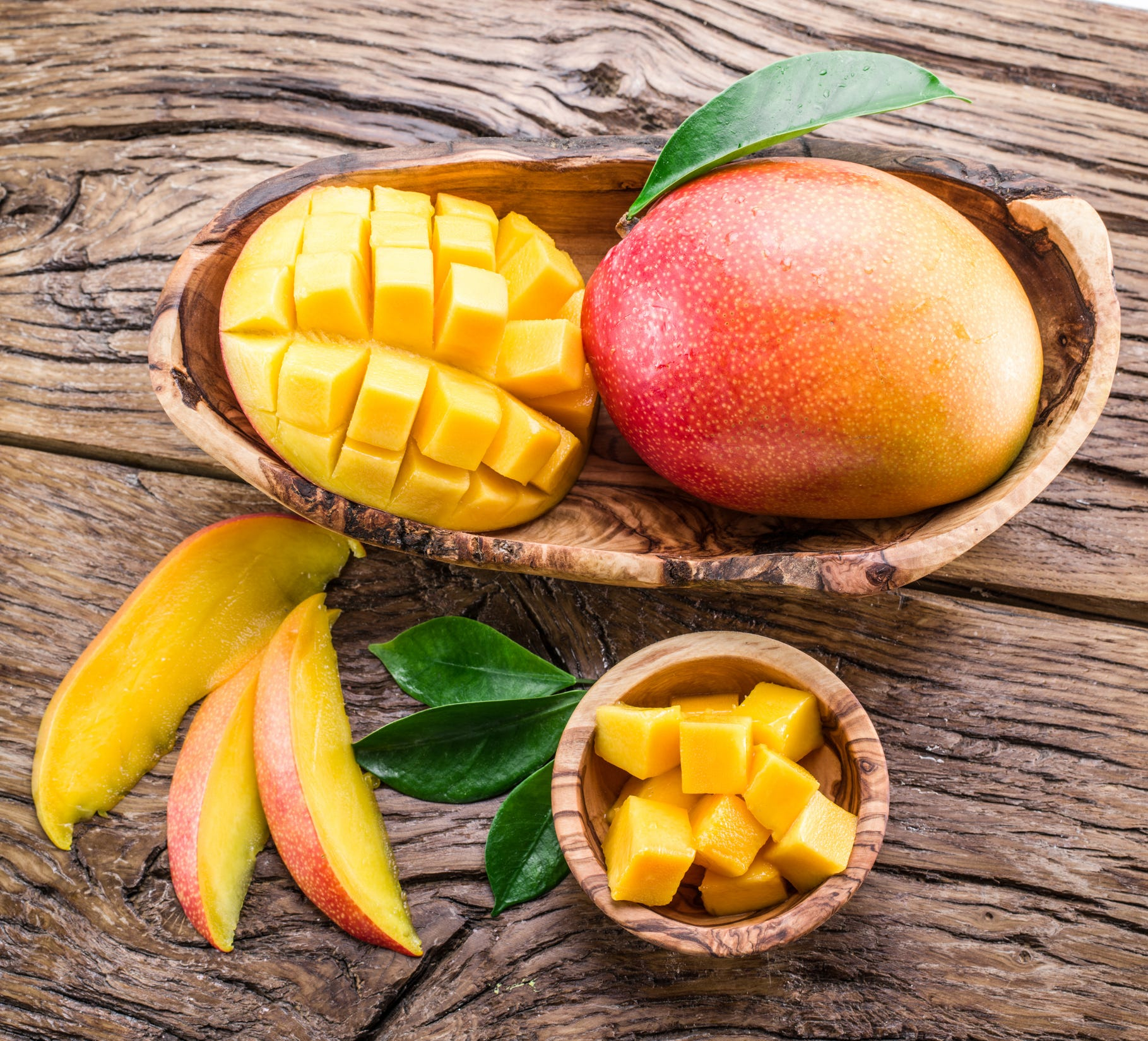 🥭Семена от манго със златен мед🌱 – Растение джудже, подходящо за отглеждане в саксия, може да се отглежда целогодишно🌸