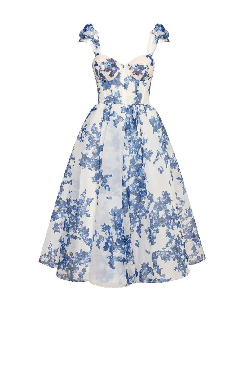 Stylish Organza Elegant Printed Midi Dress