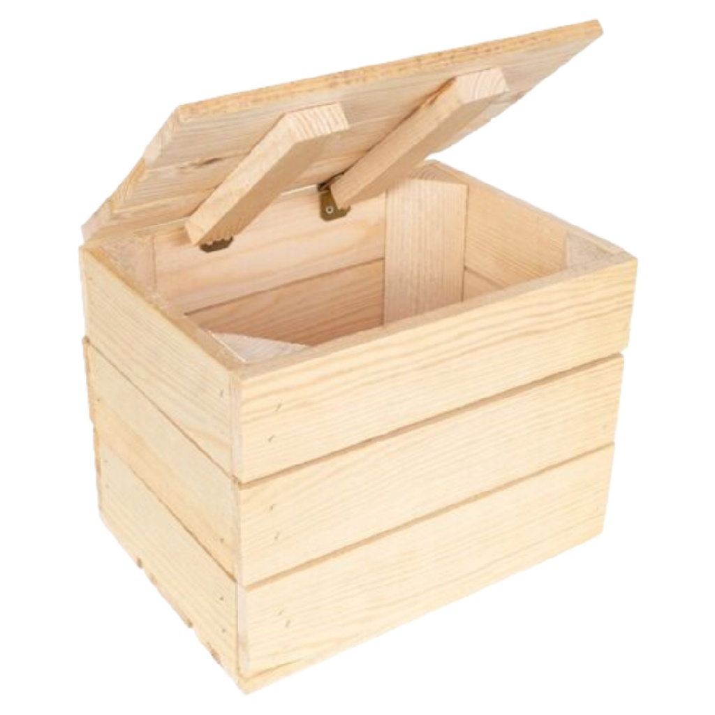 Robuuste Grenenhouten Kist met Versterkt Deksel-mollydinelli.shop