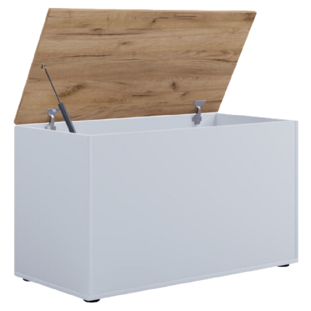 Moderne Witte Opbergkist met Eiken-look Deksel en Gasveer-mollydinelli.shop