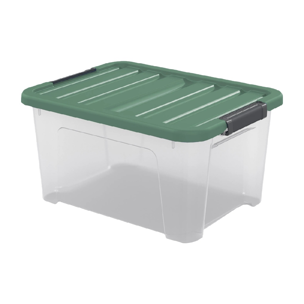 Caja de Almacenamiento de Plástico con Tapa y Asas, Transparente con Tapa Verde-leonardmolly.shop