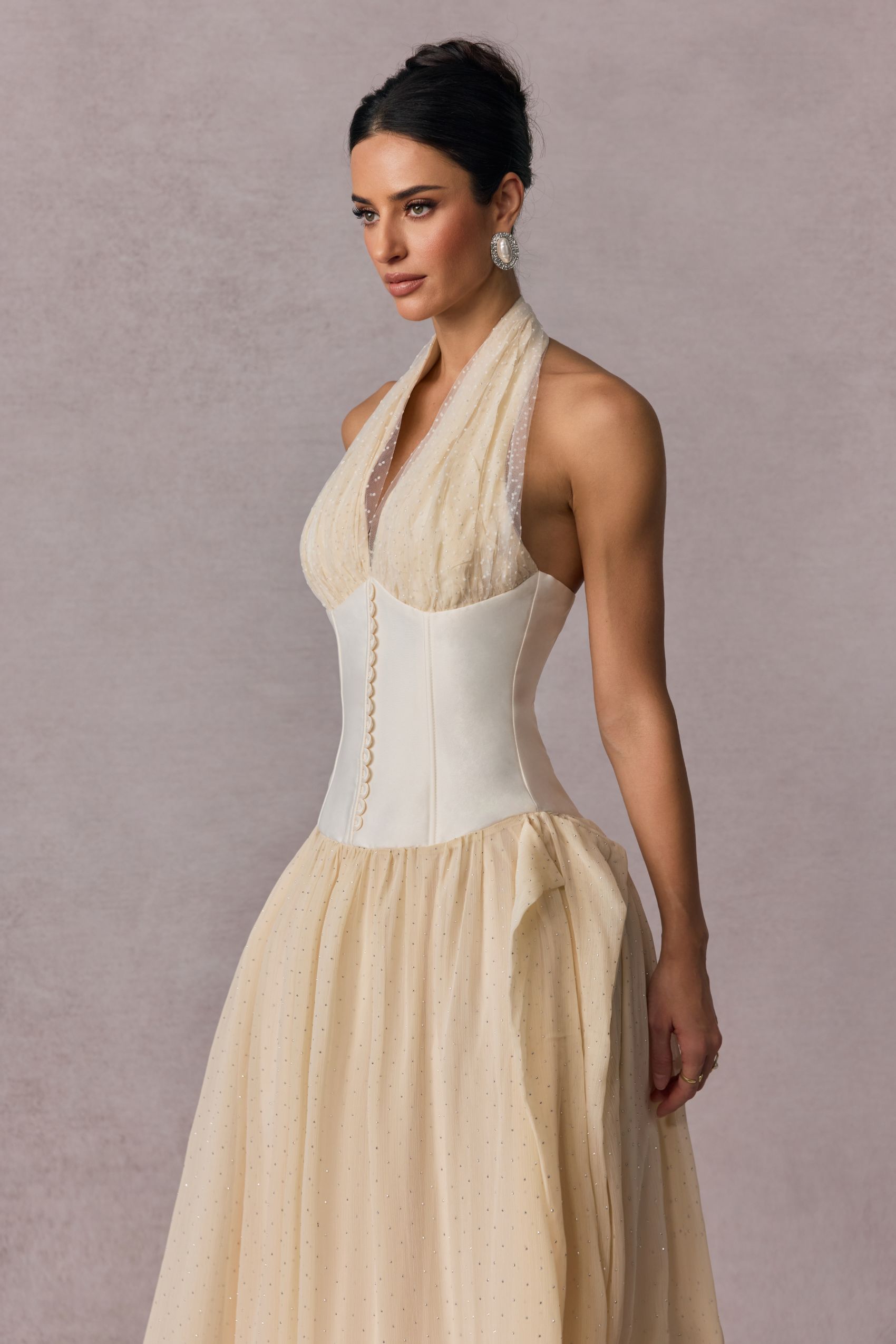 Vivien Halterneck Tulle Overlay Maxi Dress-purelyfable