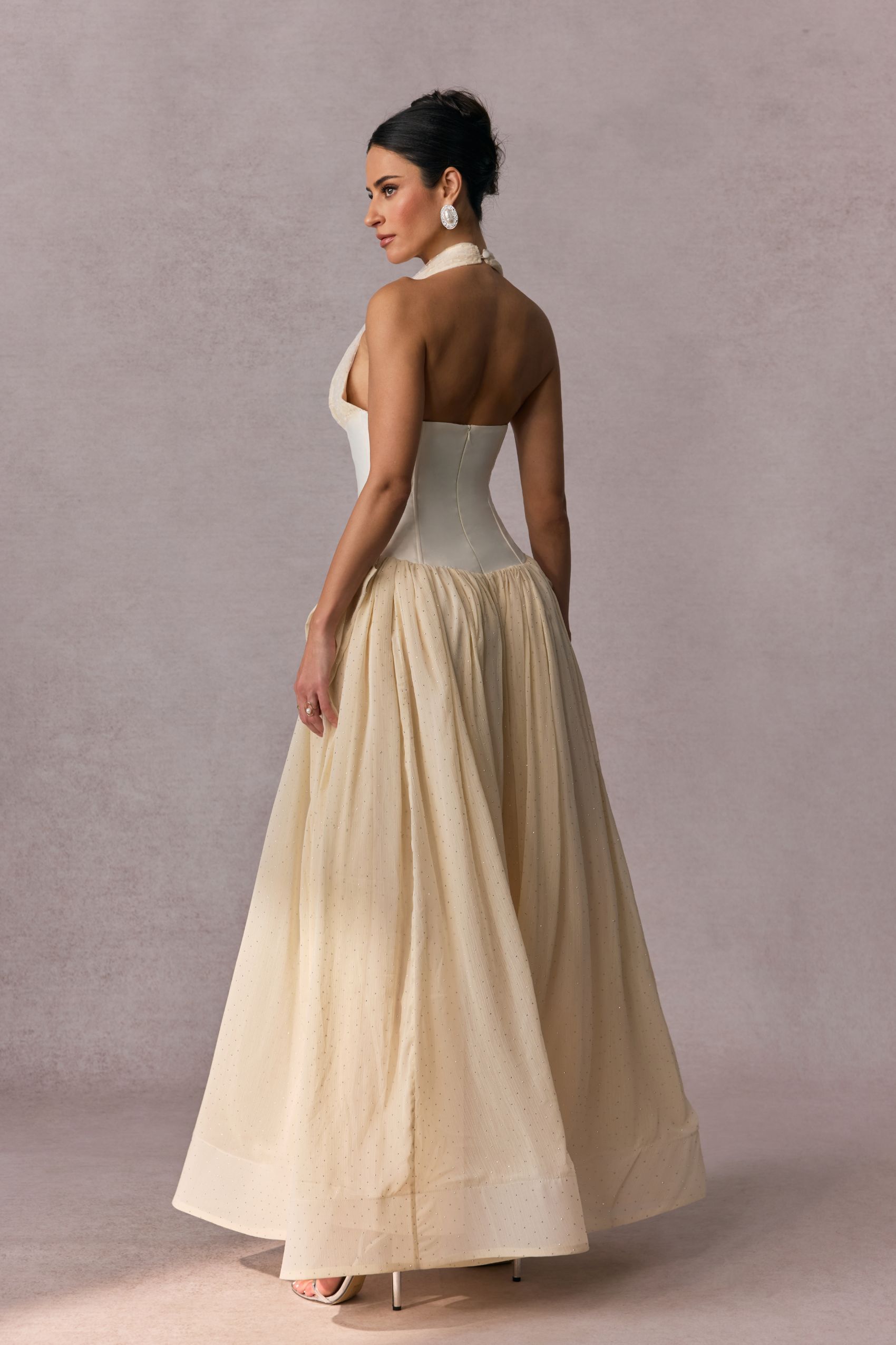 Vivien Halterneck Tulle Overlay Maxi Dress-purelyfable