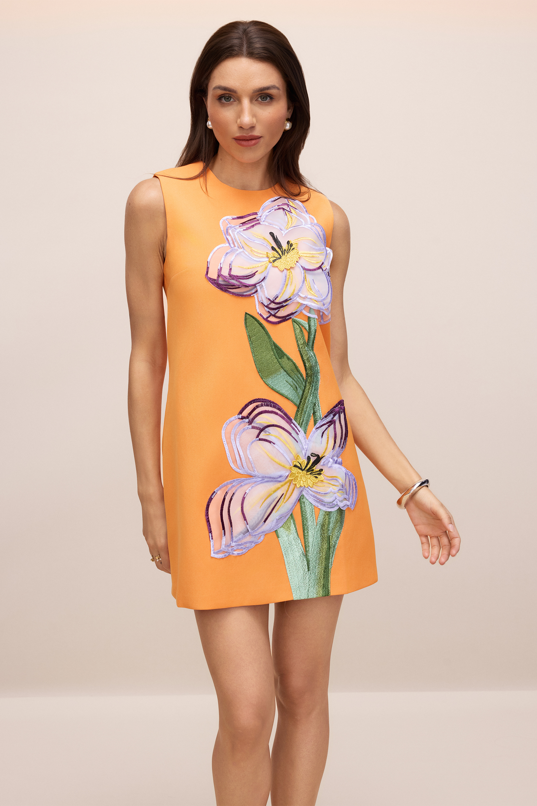 Vera Floral Applique Sleeveless Mini Dress-purelyfable
