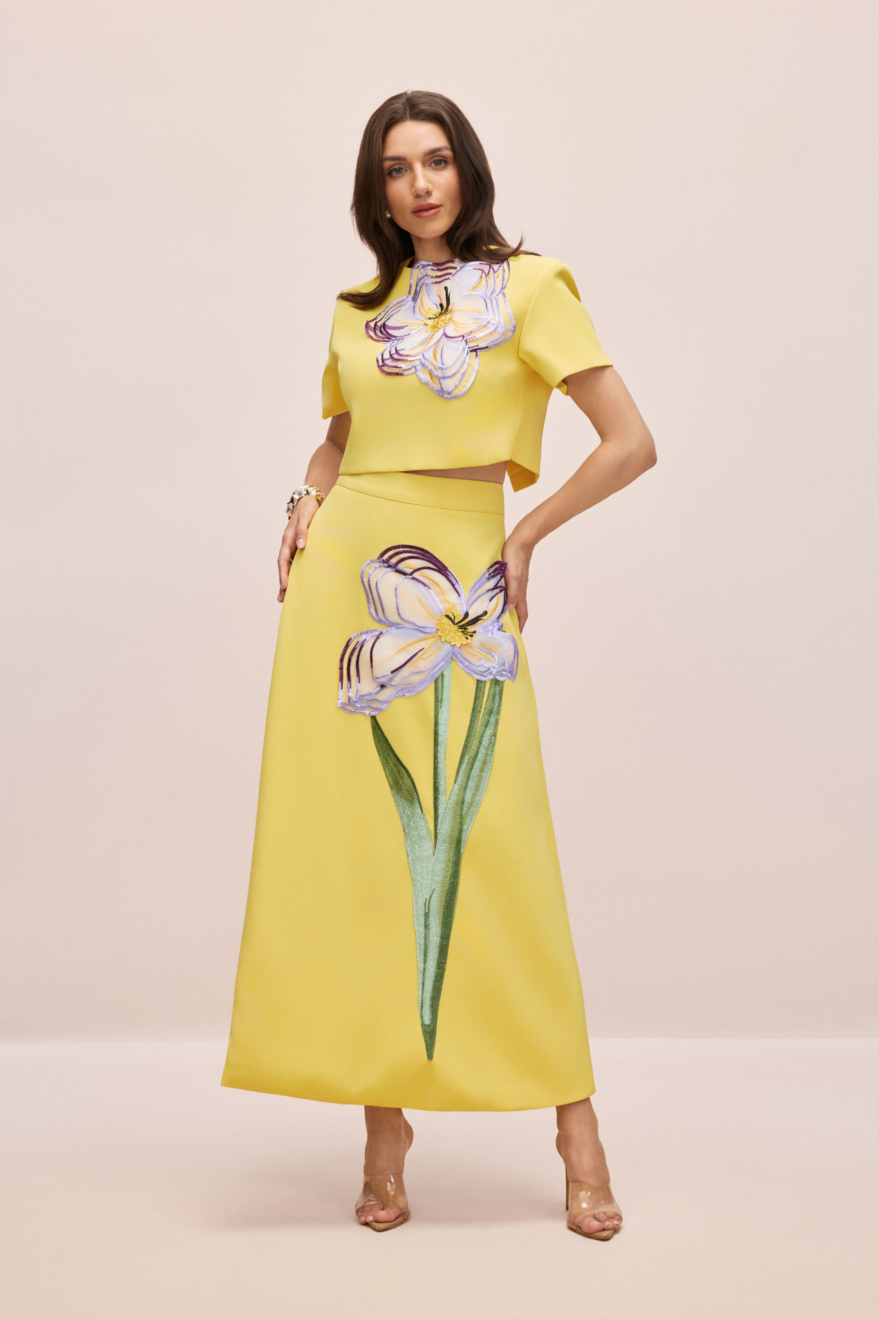 Angelica Floral Applique Short Sleeve Top & Skirt Set-purelyfable