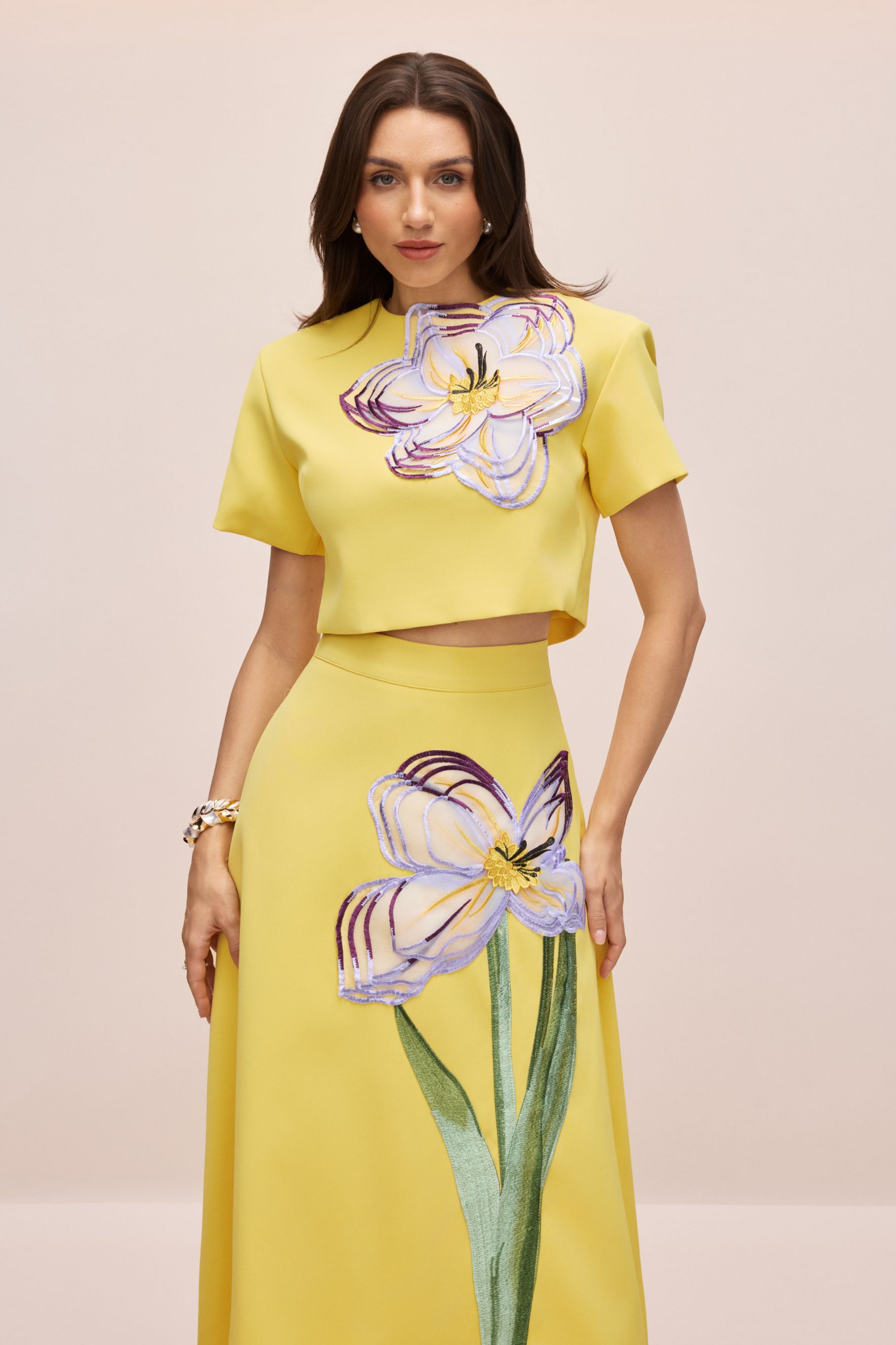 Angelica Floral Applique Short Sleeve Top & Skirt Set-purelyfable