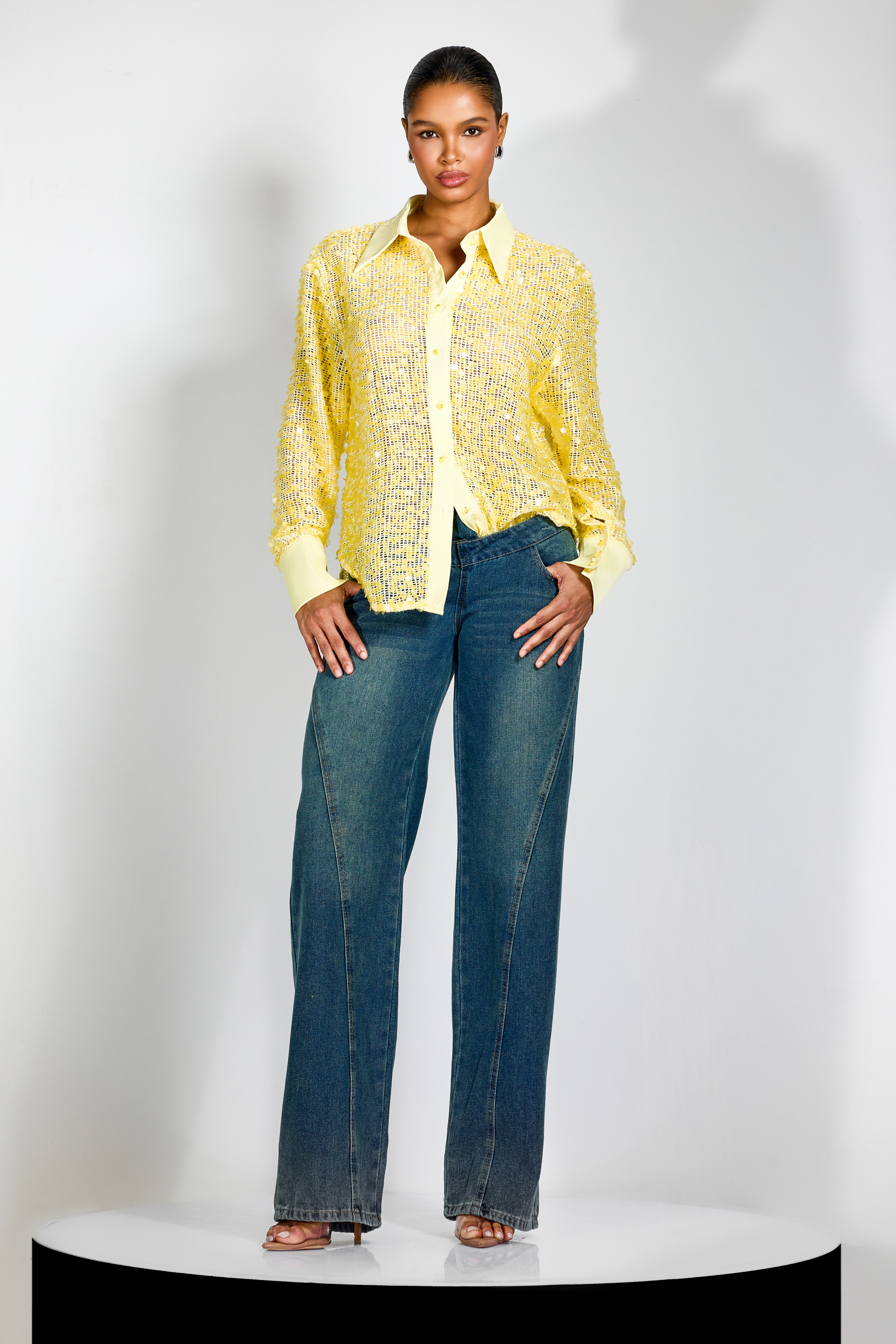 Ellen Sequin Embellished Semi-sheer Shirt-purelyfable
