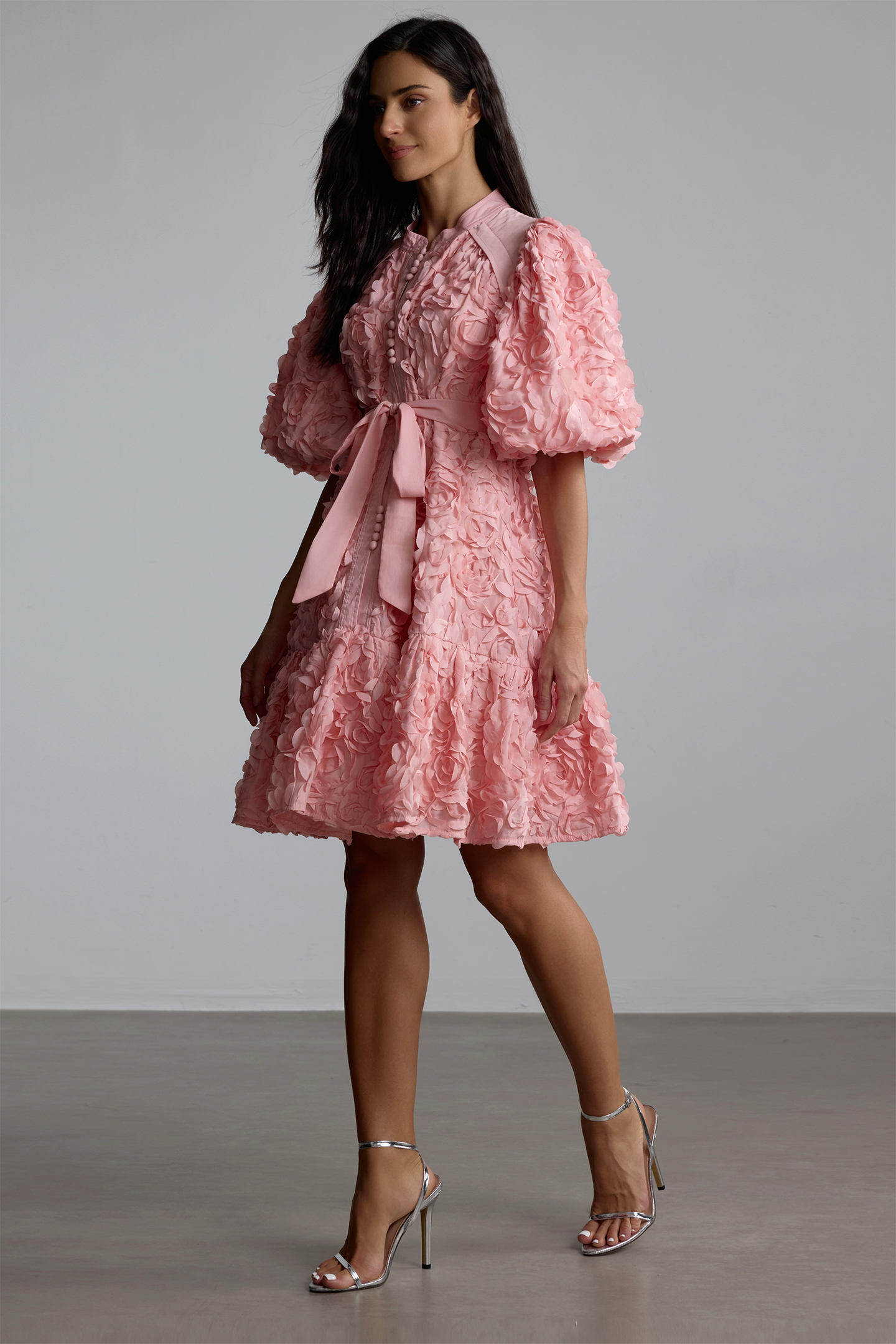 Emeline 3D Floral Balloon Sleeve Mini Dress-purelyfable