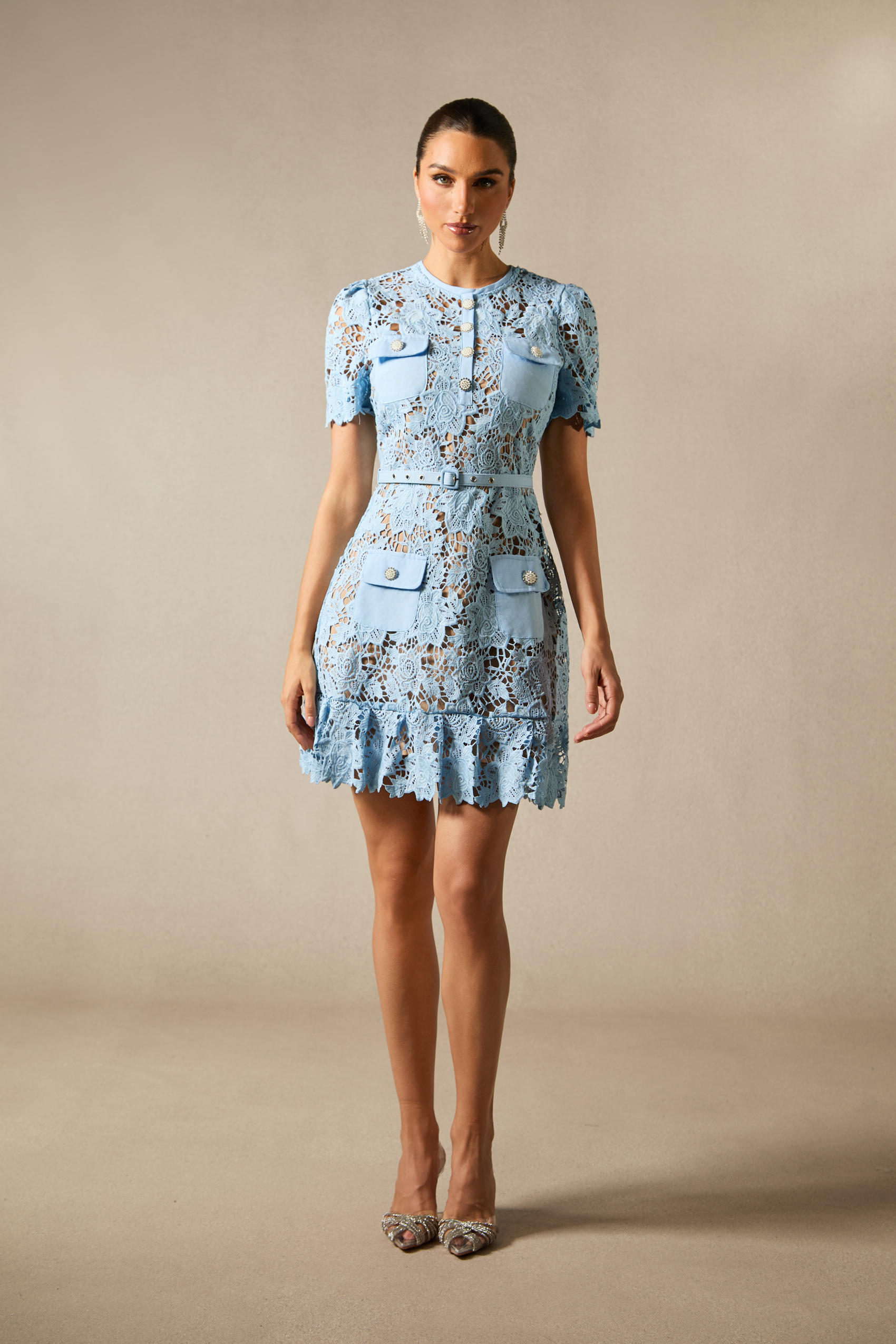 Renata Floral Embroidered Lace Mini Dress-purelyfable