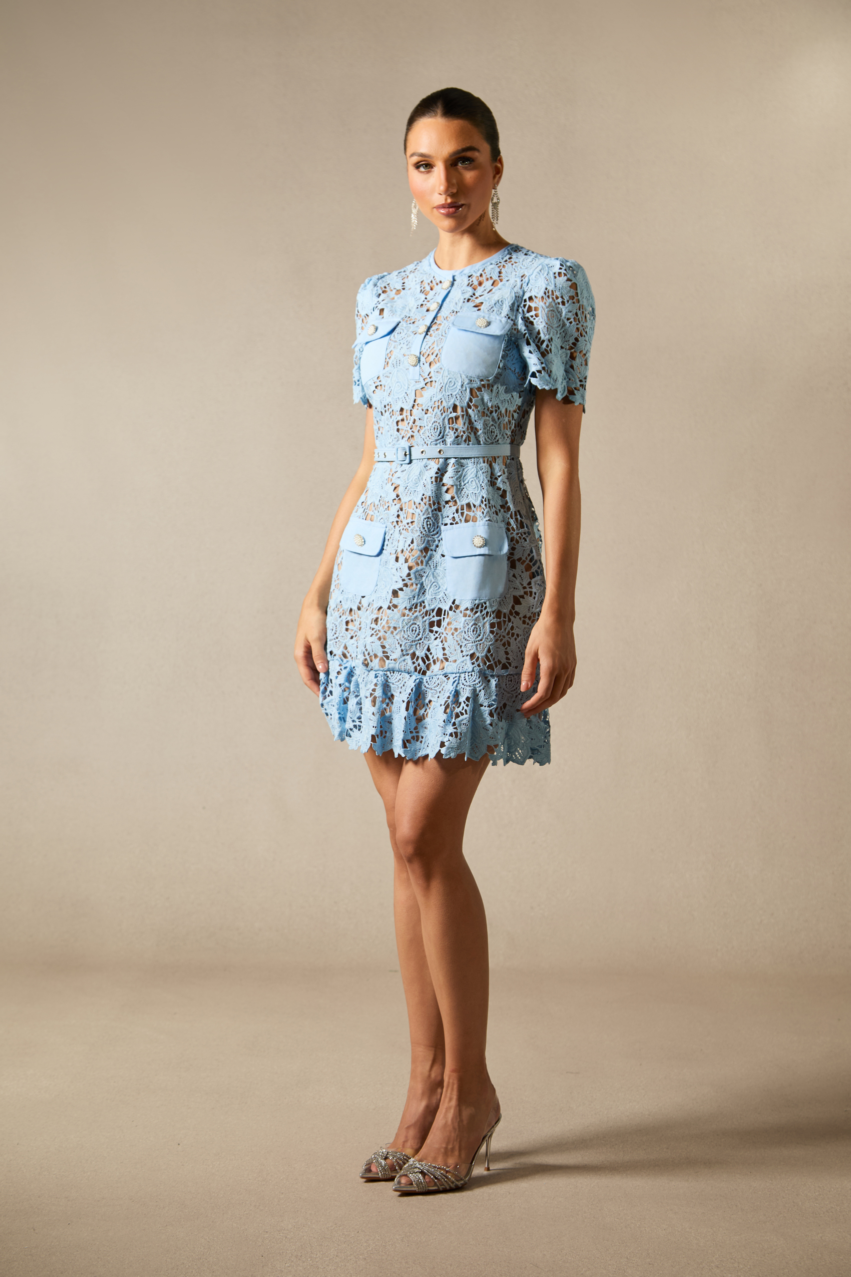 Renata Floral Embroidered Lace Mini Dress-purelyfable