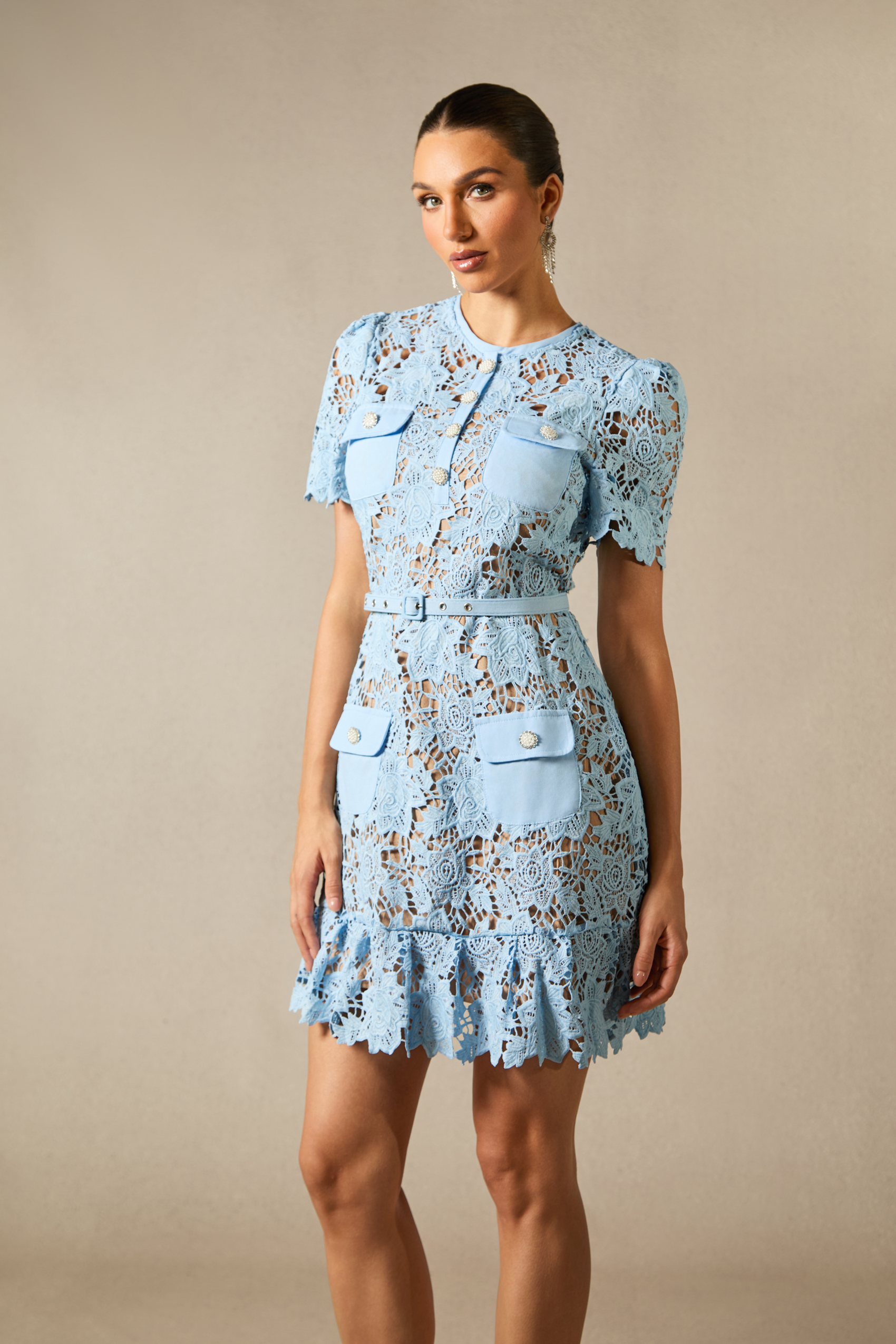 Renata Floral Embroidered Lace Mini Dress-purelyfable