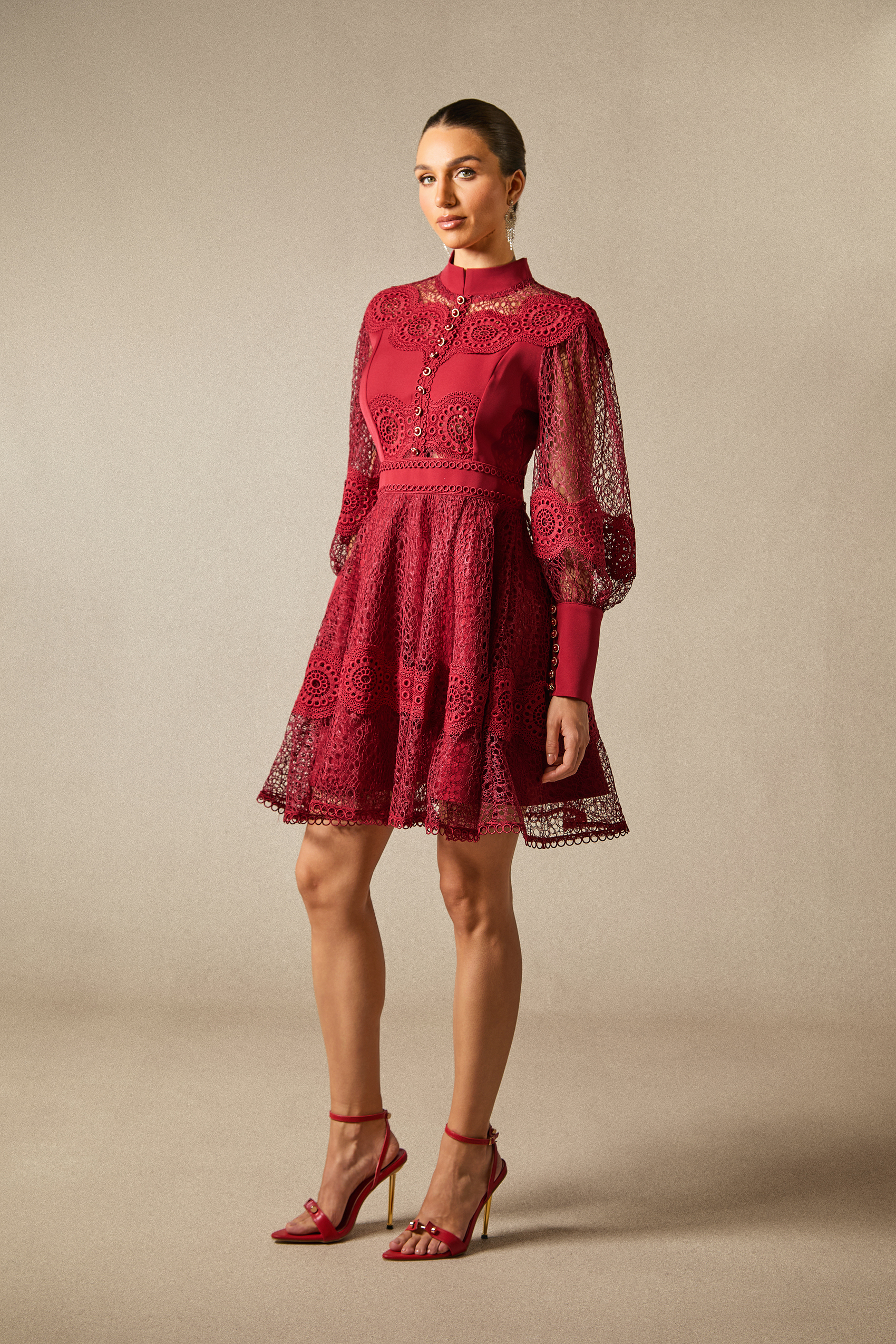 Charlotte High Neck Puff Sleeve Lace Mini Dress-purelyfable