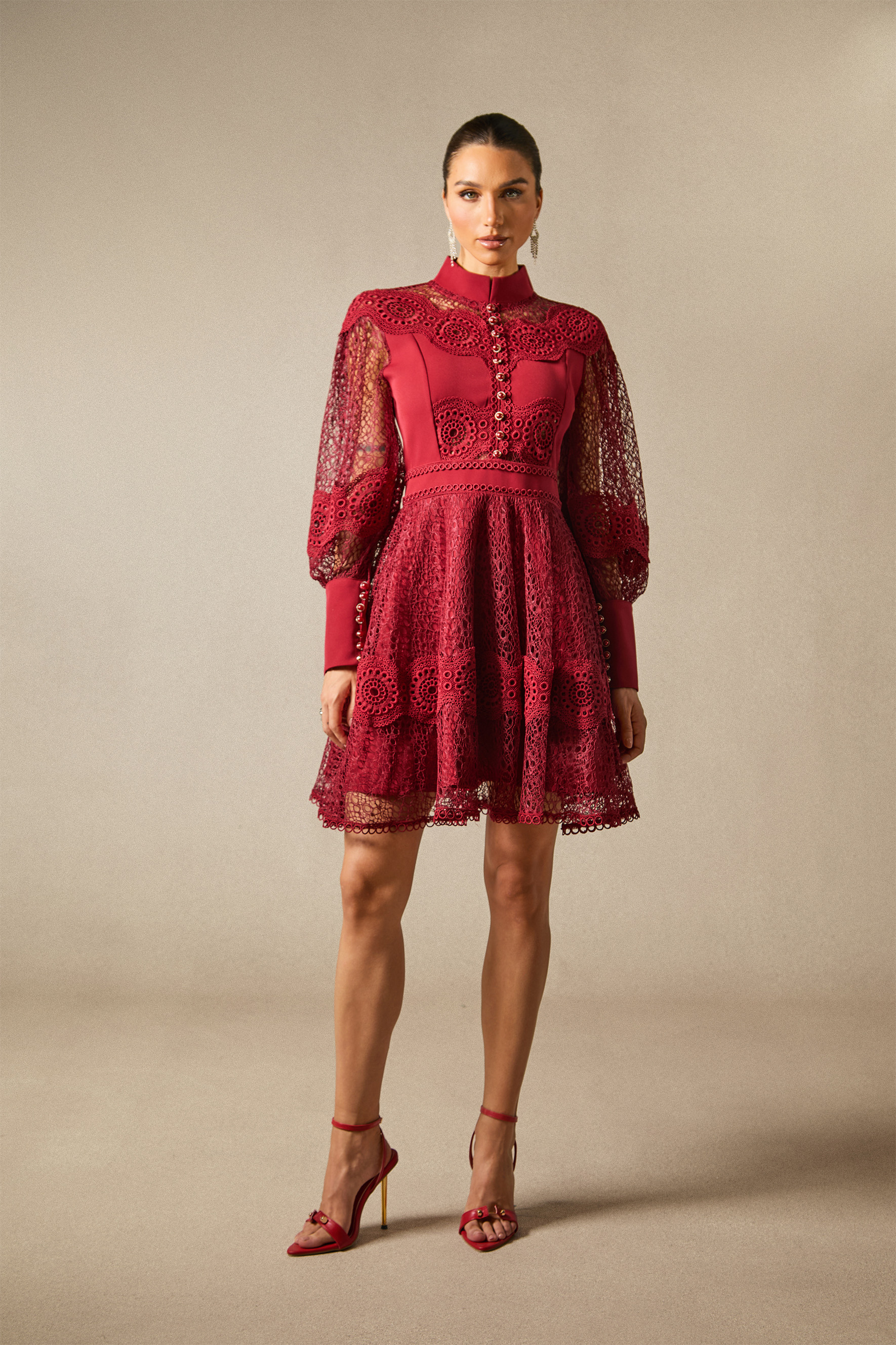 Charlotte High Neck Puff Sleeve Lace Mini Dress-purelyfable