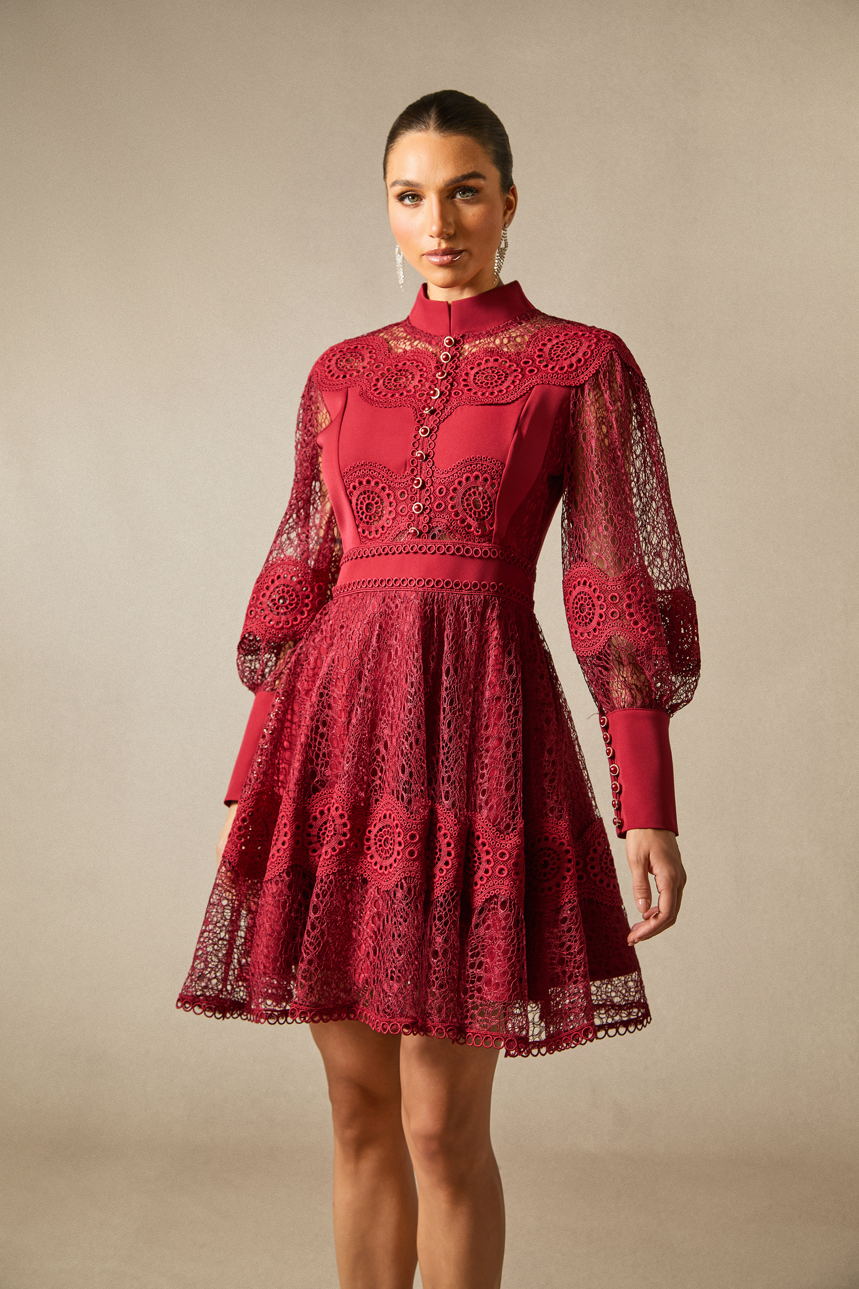 Charlotte High Neck Puff Sleeve Lace Mini Dress-purelyfable