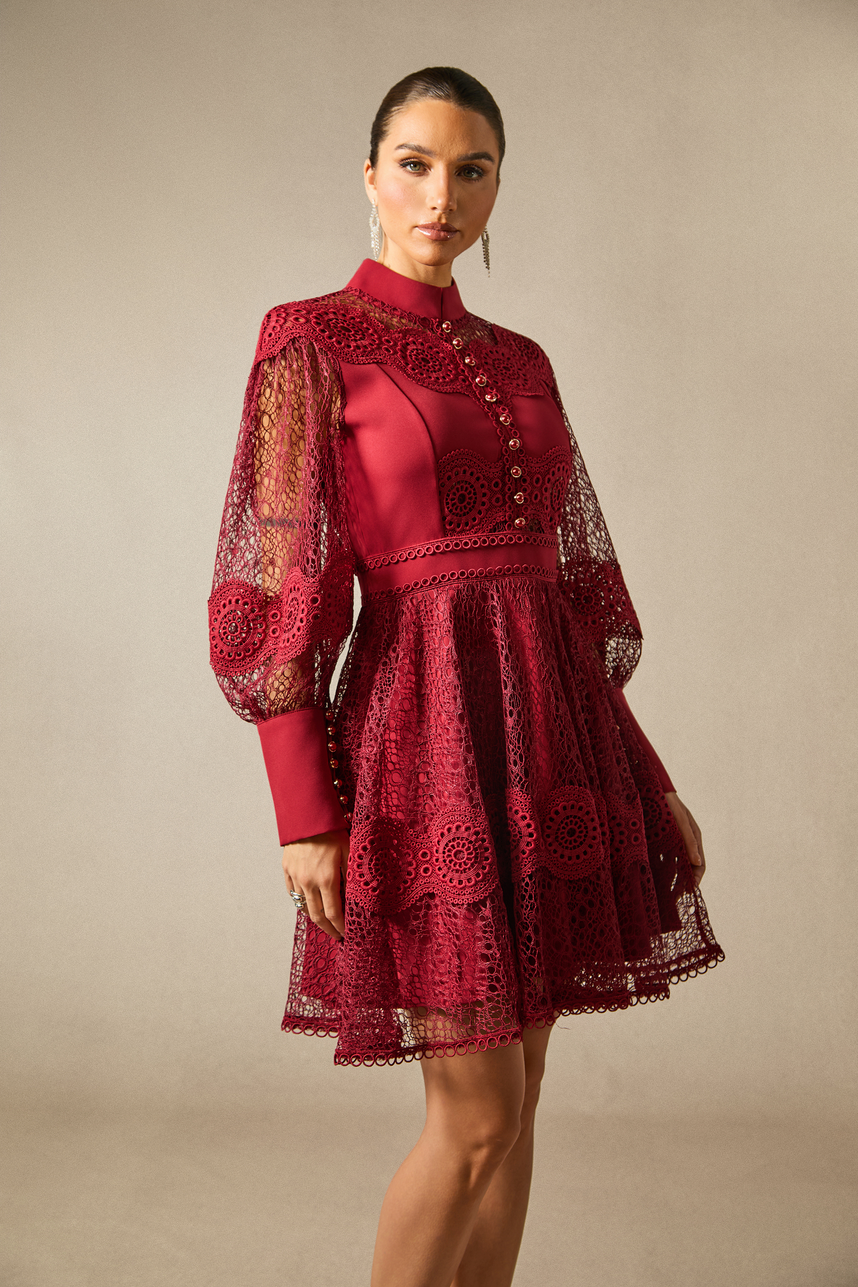Charlotte High Neck Puff Sleeve Lace Mini Dress-purelyfable