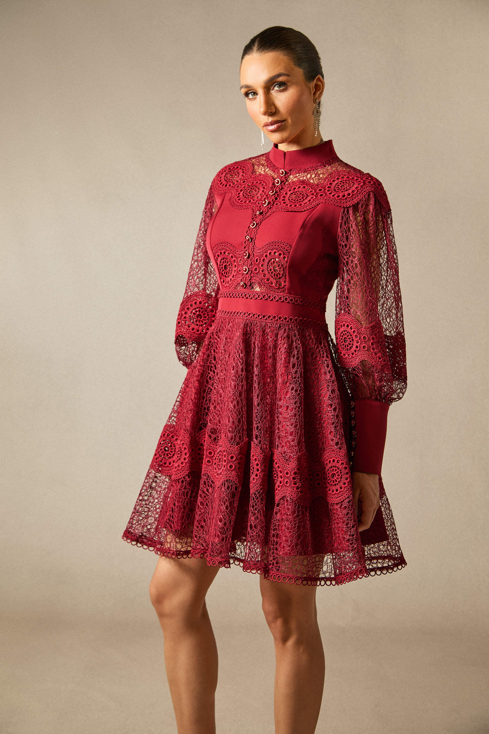 Charlotte High Neck Puff Sleeve Lace Mini Dress-purelyfable
